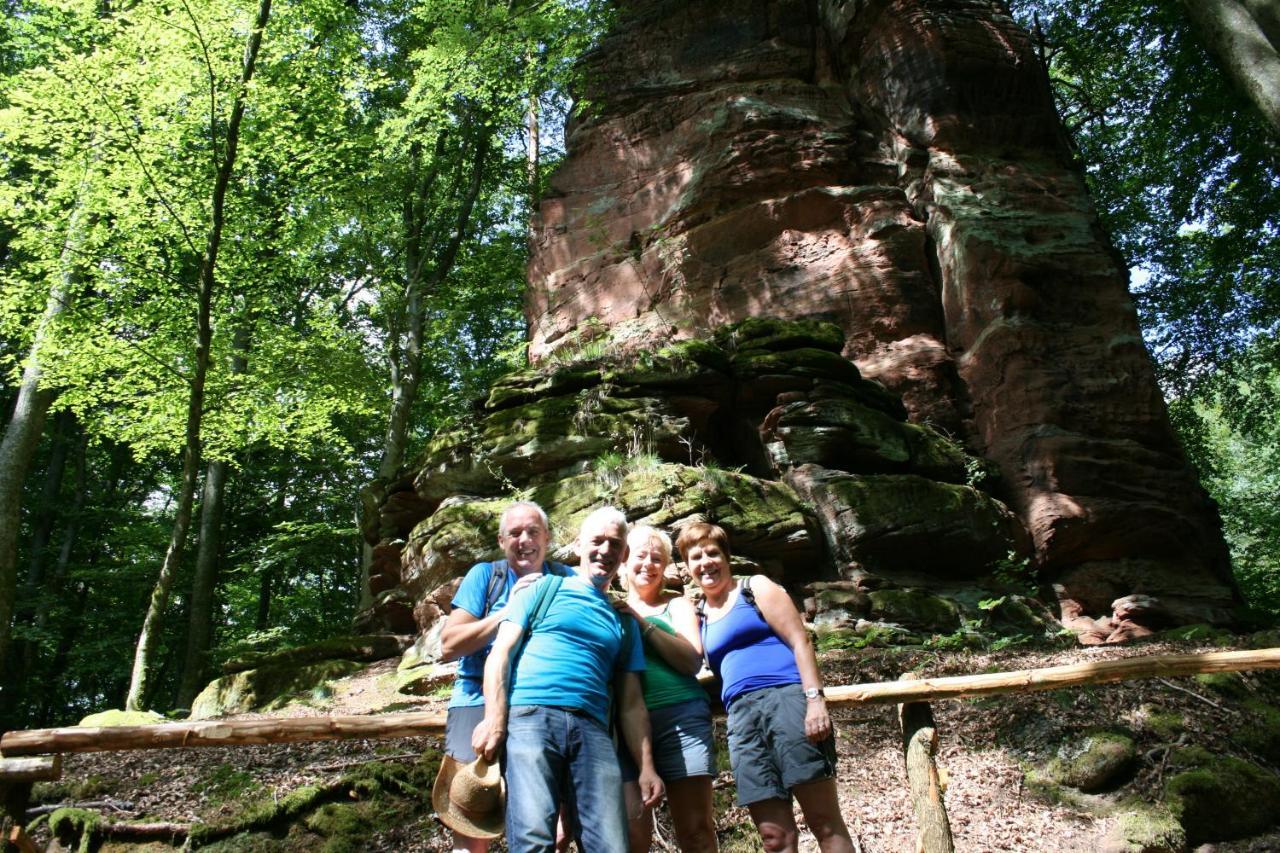 Chambre D'Hotes Petit Arnsbourg Obersteinbach Eksteriør bilde